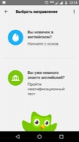 Duolingo Image 3